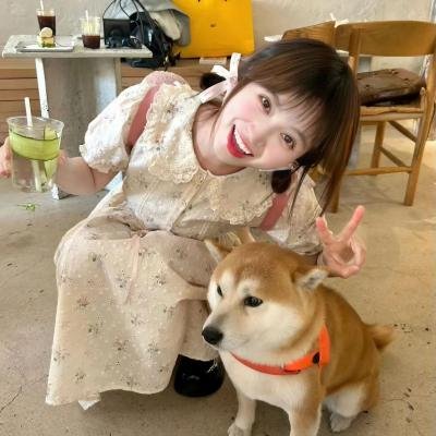 妻子的反攻